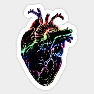 Heart Human Anatomy raimbow black Sticker